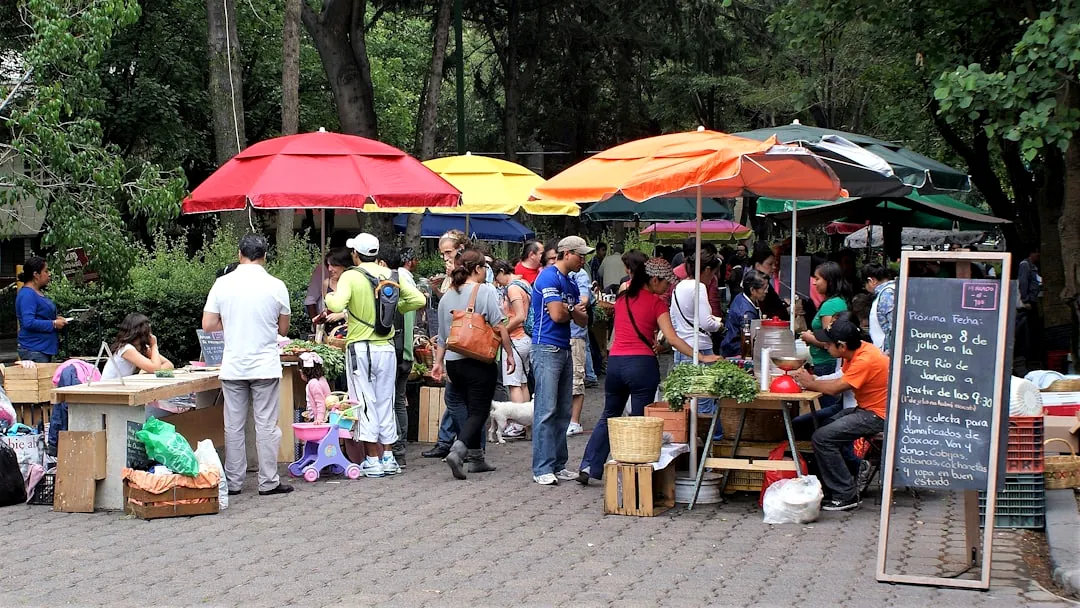 The Effects of Venezuela Sanctions on Nicolás Maduro’s Government