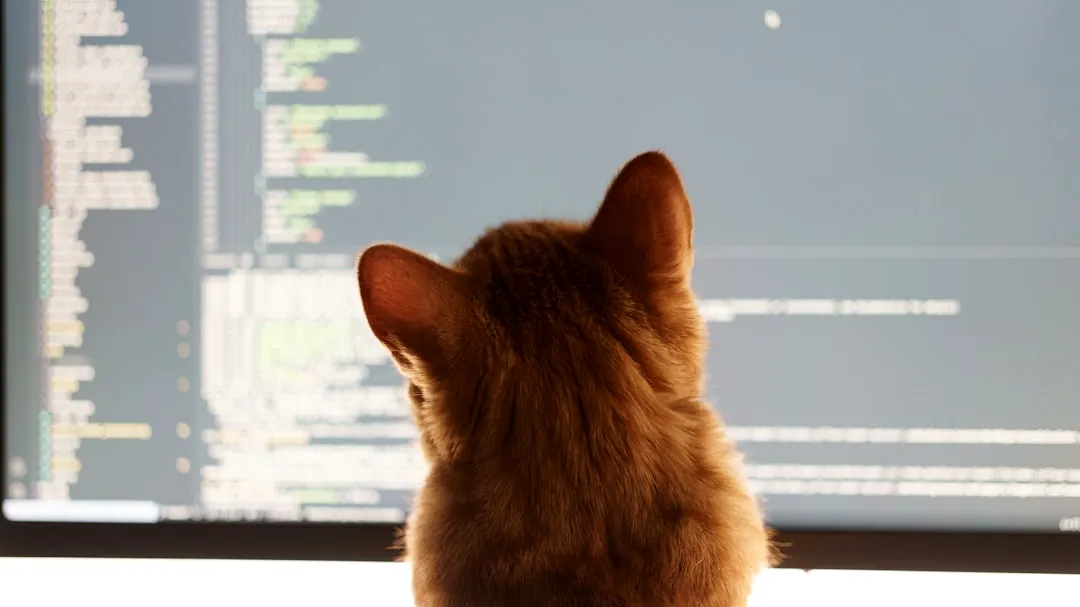 a cat sitting in front of a computer monitor