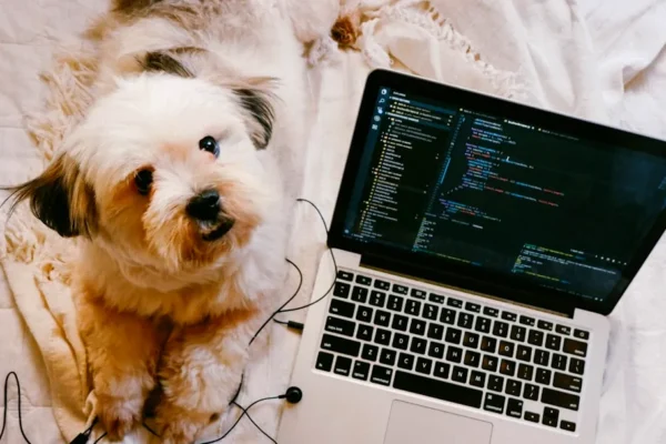 a dog lays next to a laptop