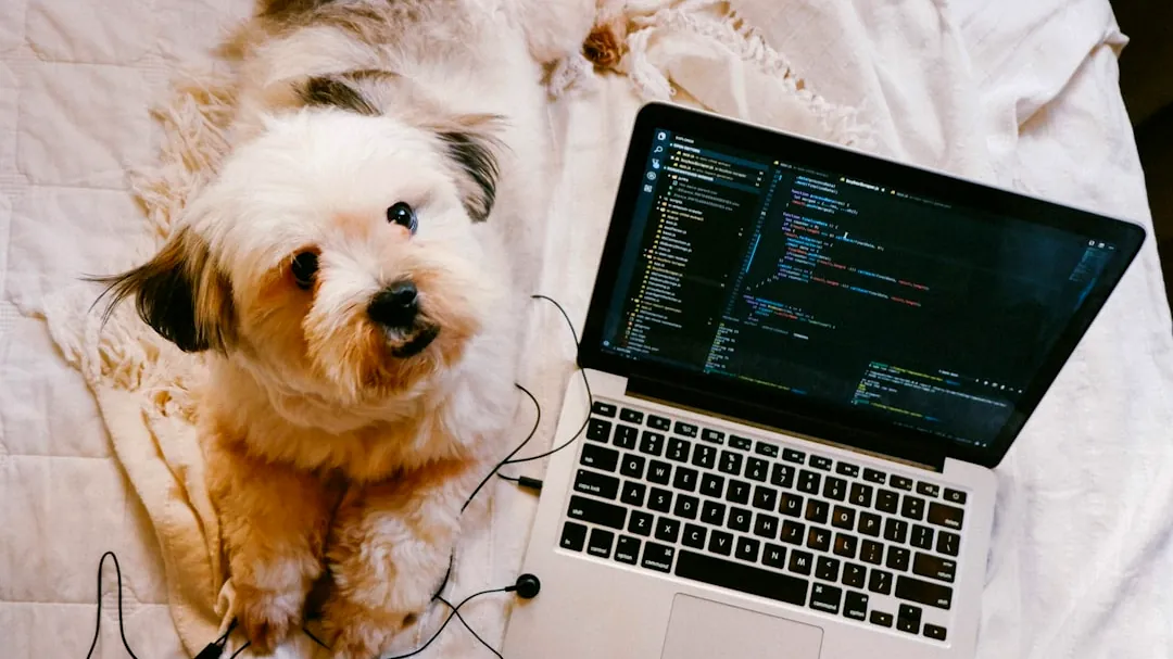 a dog lays next to a laptop